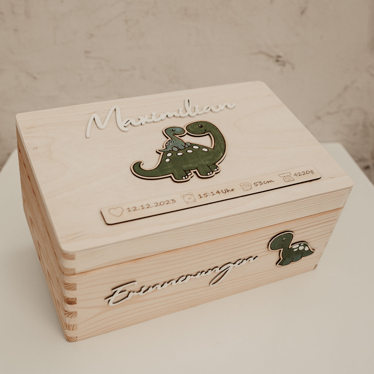 Erinnerungsbox M | Dinos